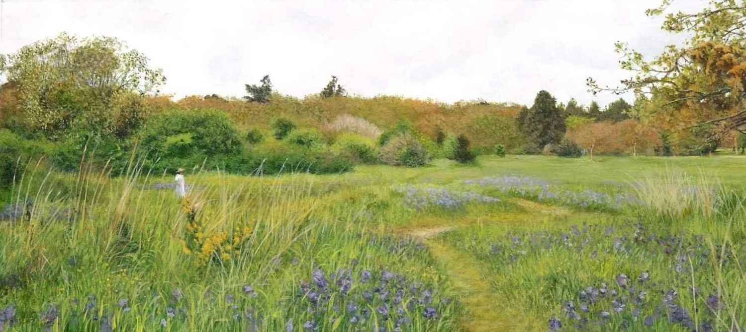 Walk Through the Park