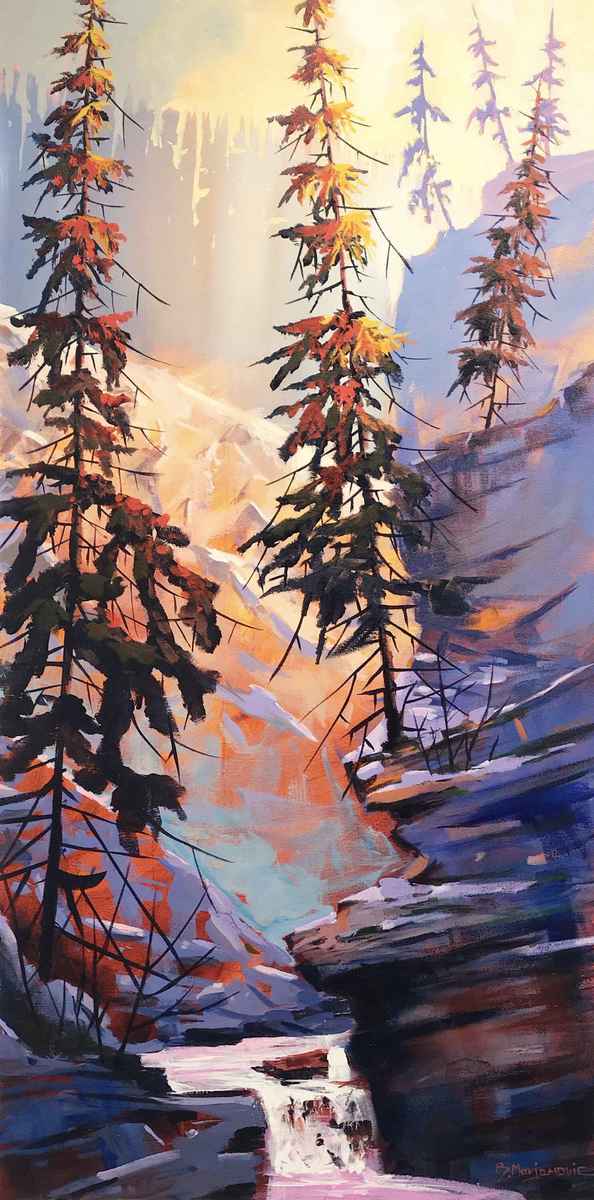 Johnston Canyon Viewpoint