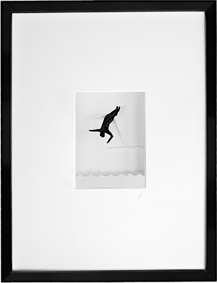 Winning Jump - Shadowbox