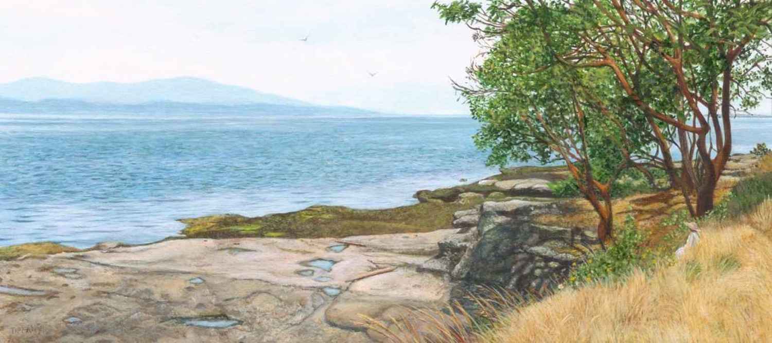 Sunshine on the Bluff