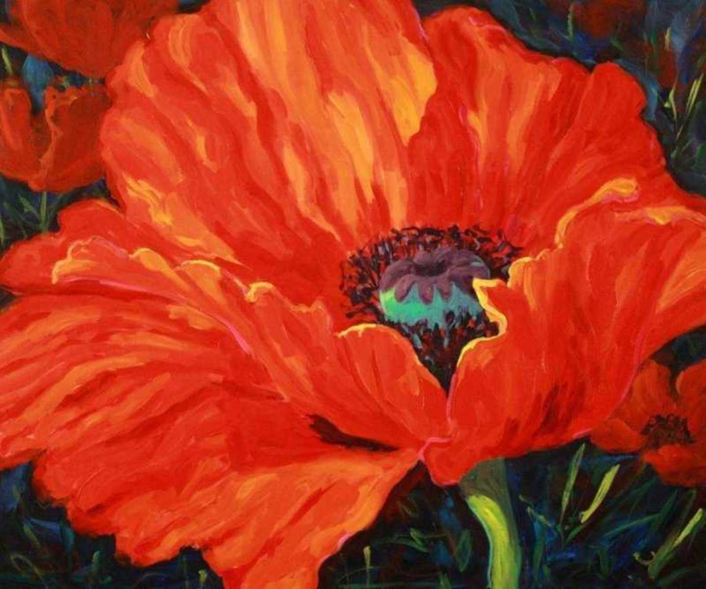 Oriental Poppy
