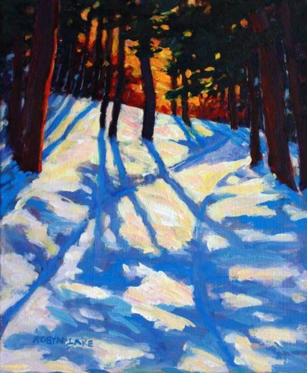 Forest Light Patterns