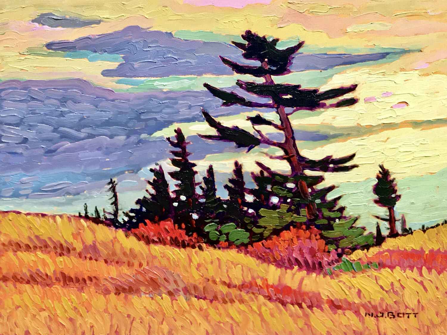 Black Pines
