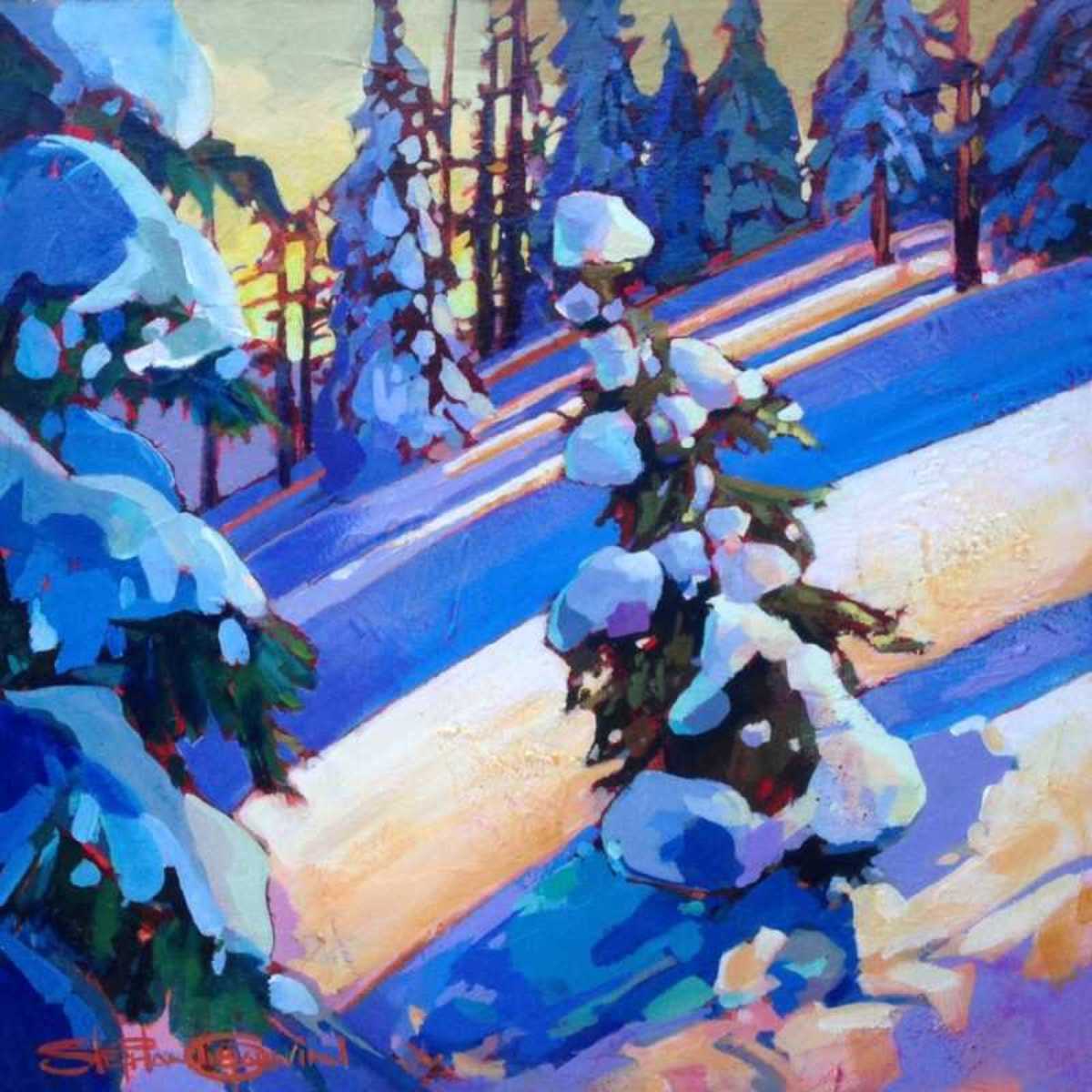 Many Shades in the Cold