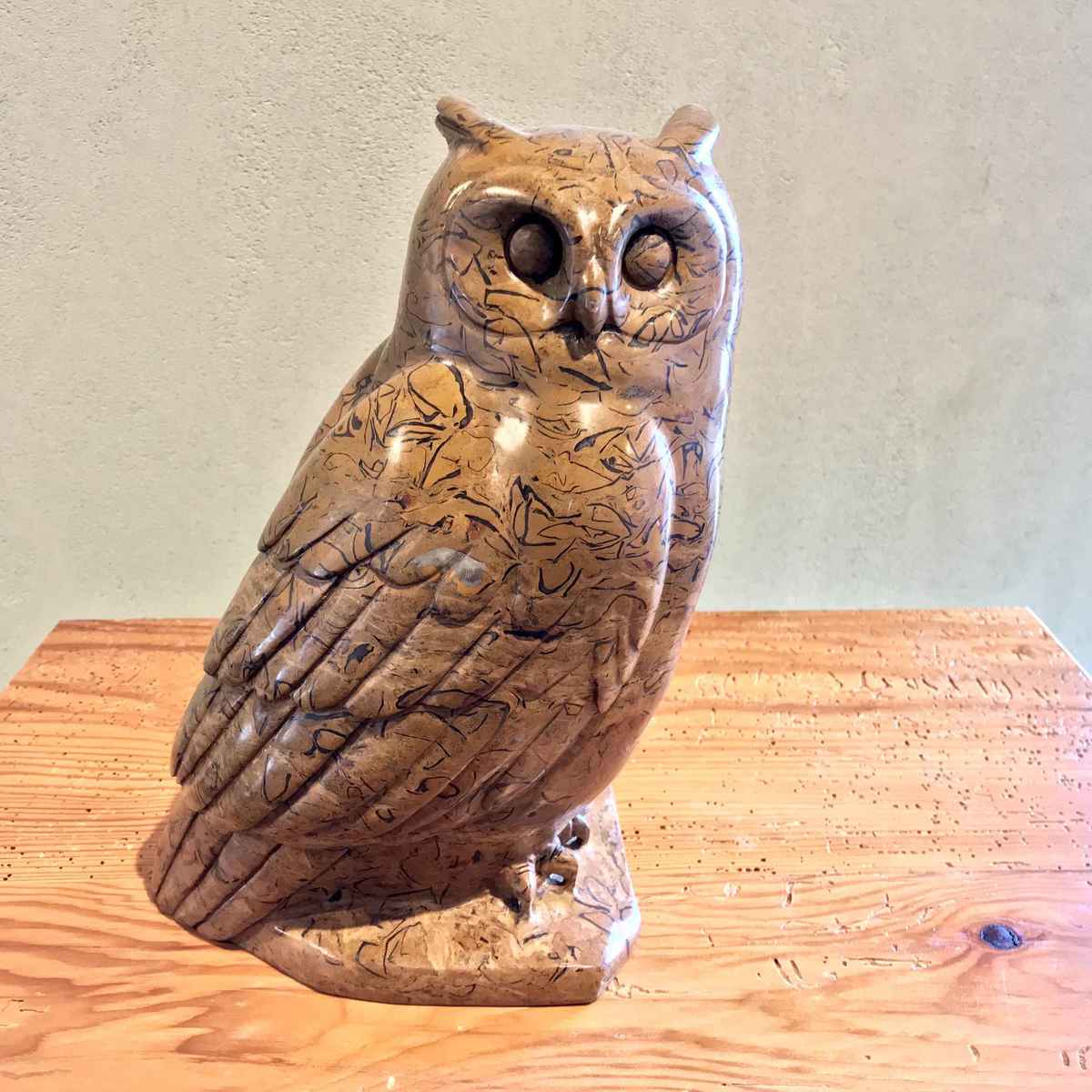 Owl E8997