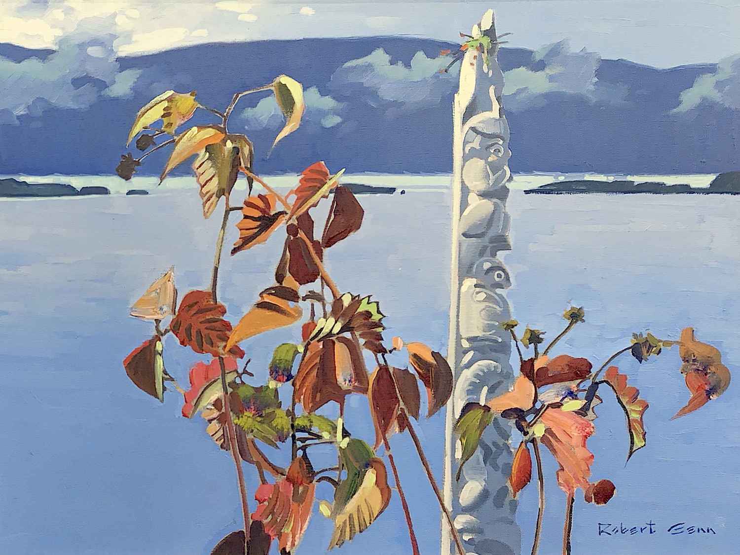 Sunlight At Friendly Cove