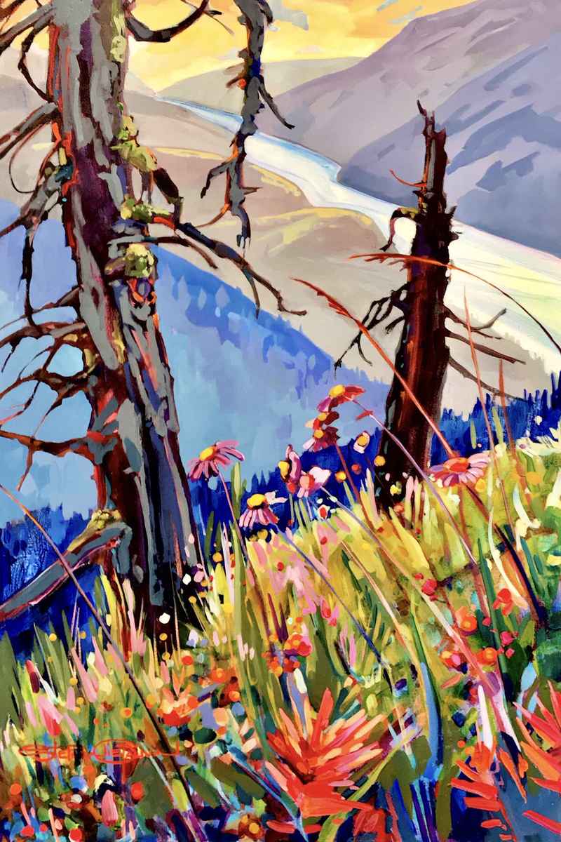 Adventure Leads to Discovery