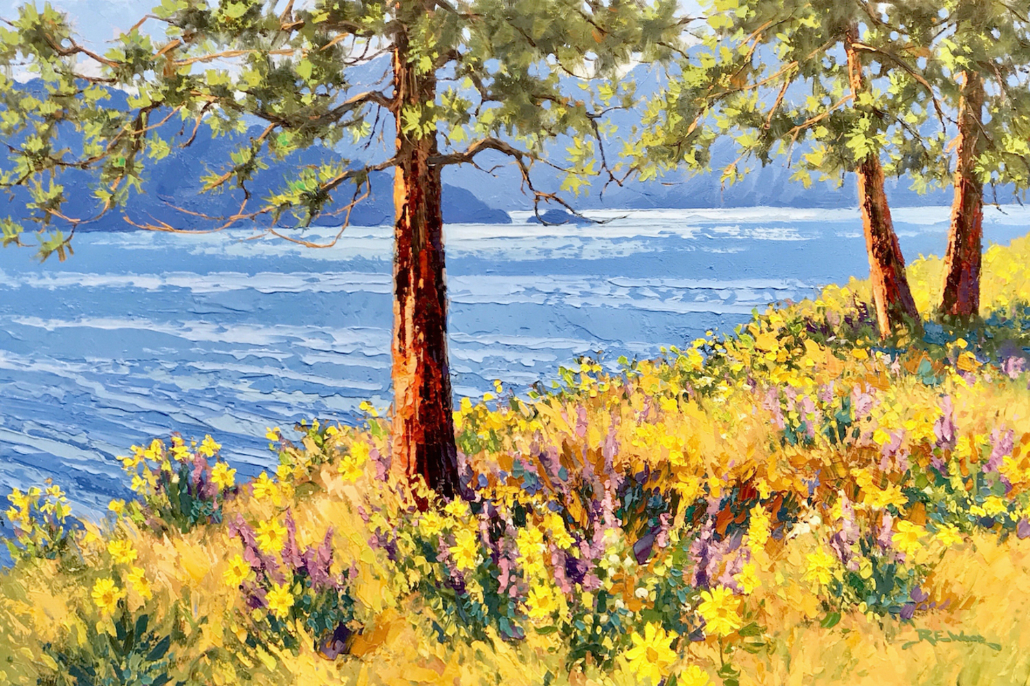 Okanagan Summer