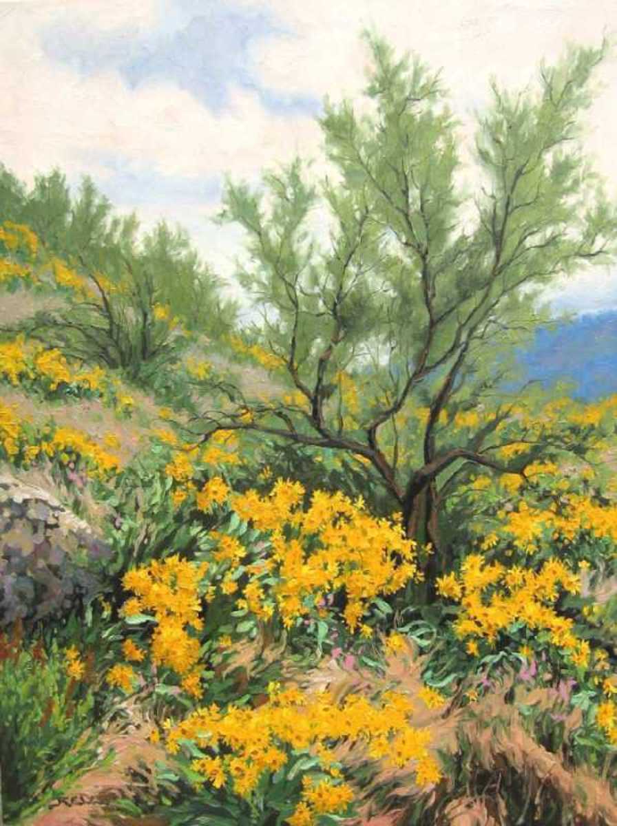 Hillside in Yellow, Okanagan Falls