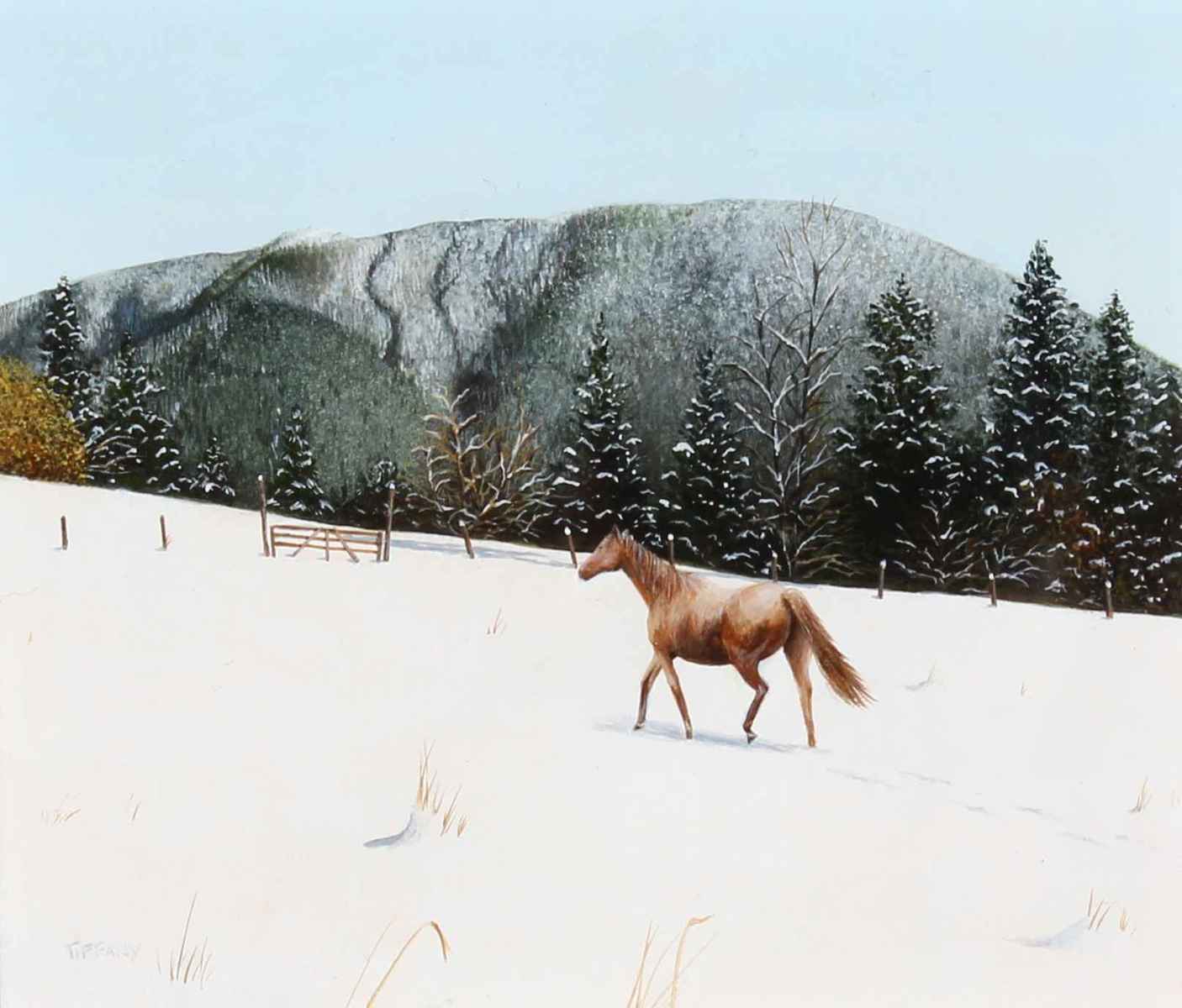 Snowy Pasture - Miniature