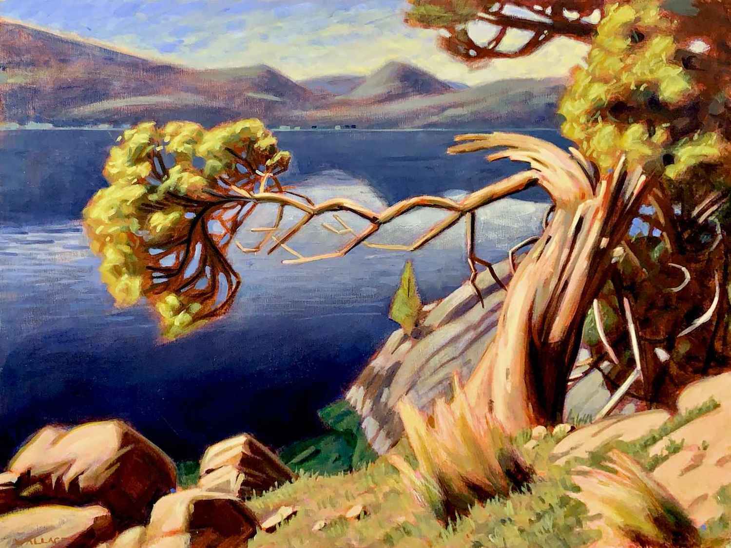 Looking From Rattle Snake Point