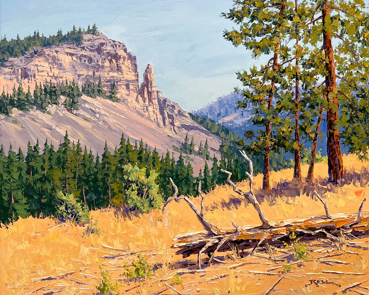 Layer Cake Mountain