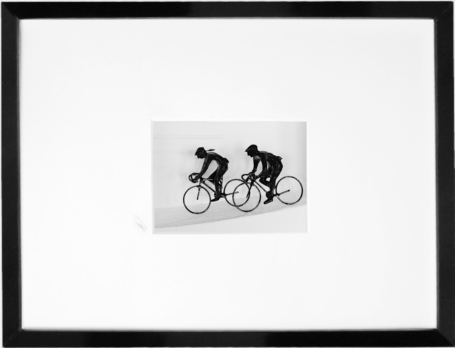 Cycle of Life - Shadowbox