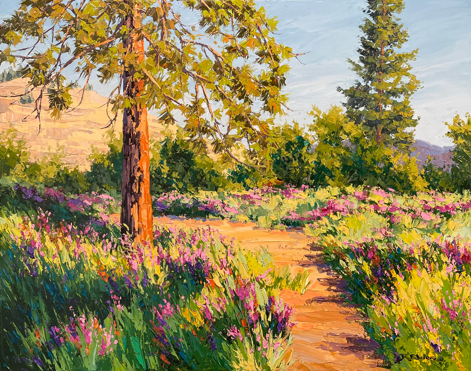 Clover Field (South Okanagan)