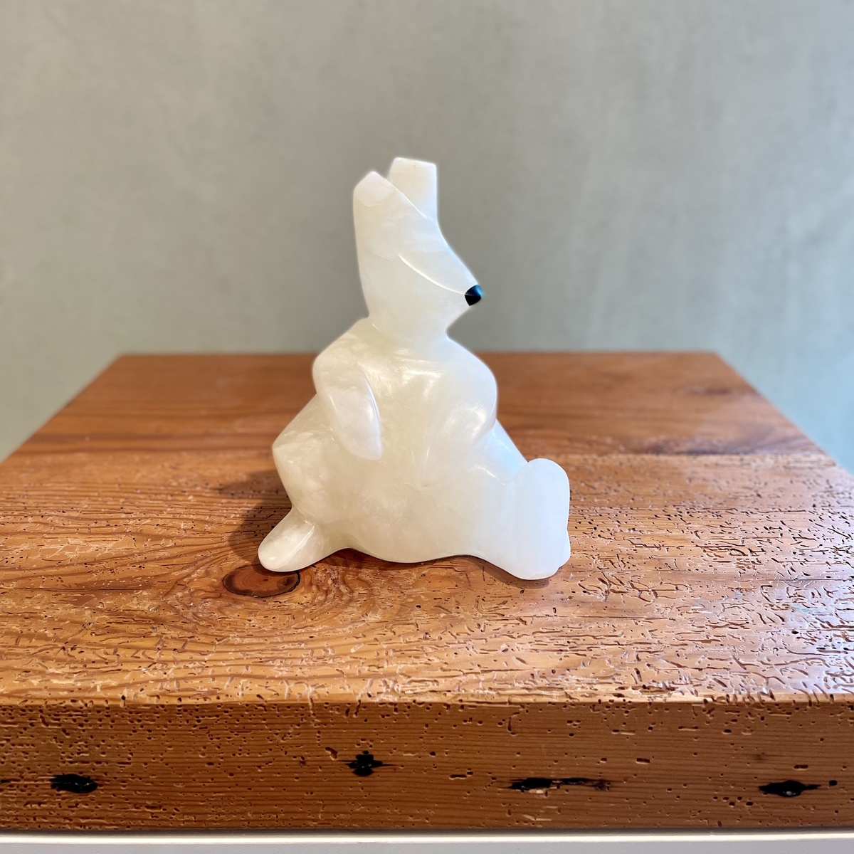 Bunny