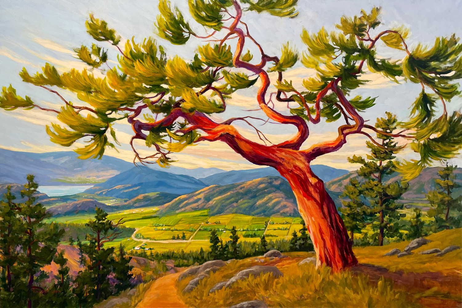 Queen of the Mountain