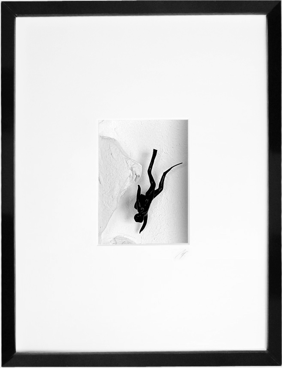 New Discovery - Shadowbox
