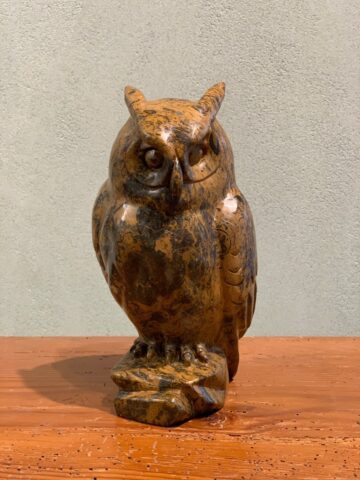 Owl K8259