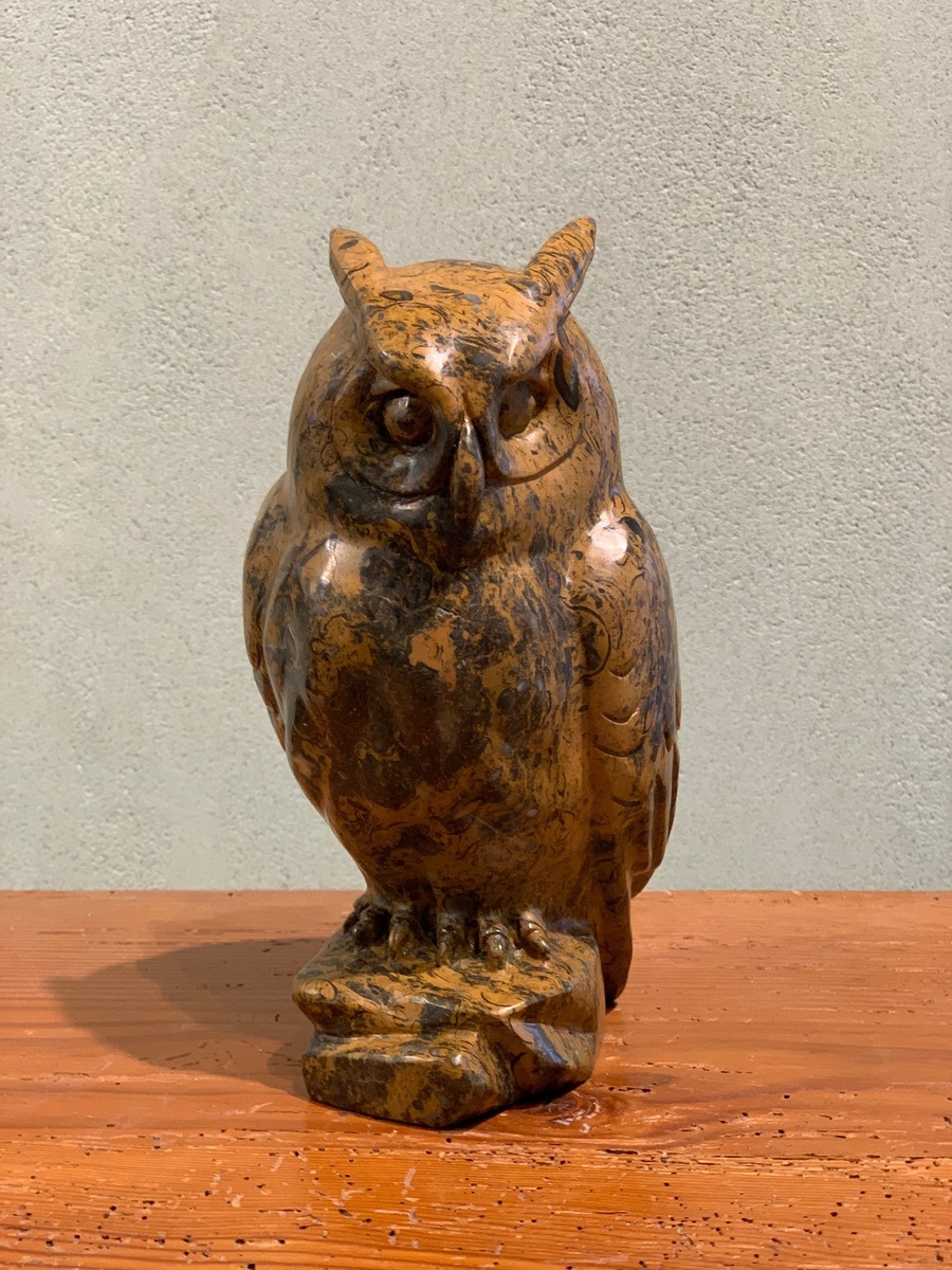 Owl K8259