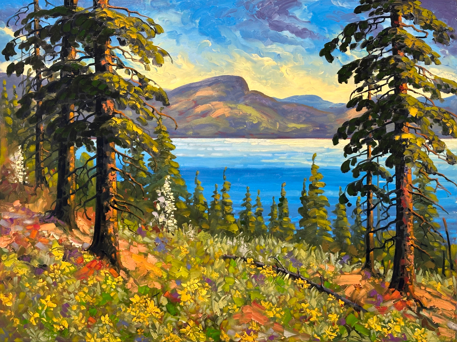 Springtime Towards Black Mountain