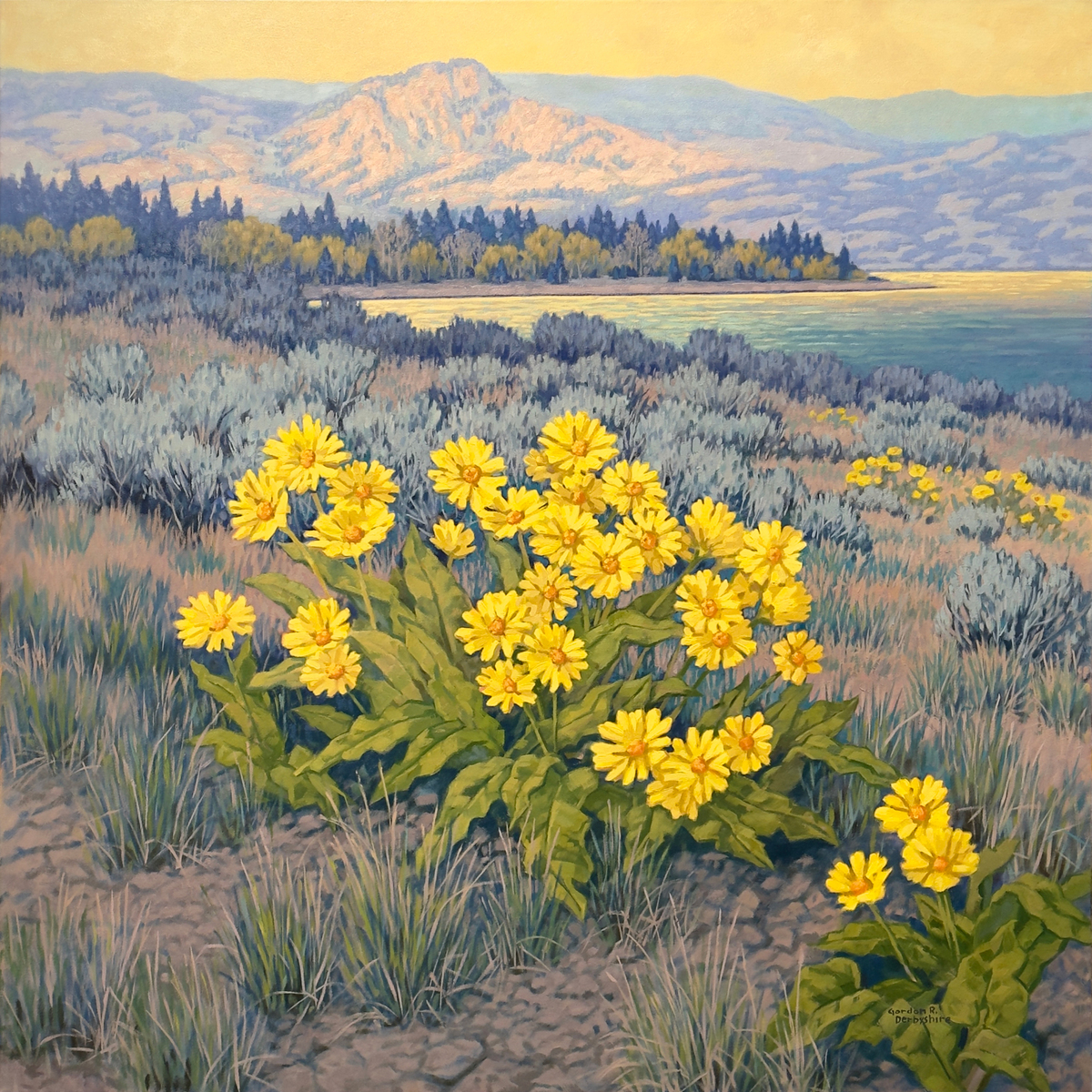 Spring Bouquet, Black Mountain