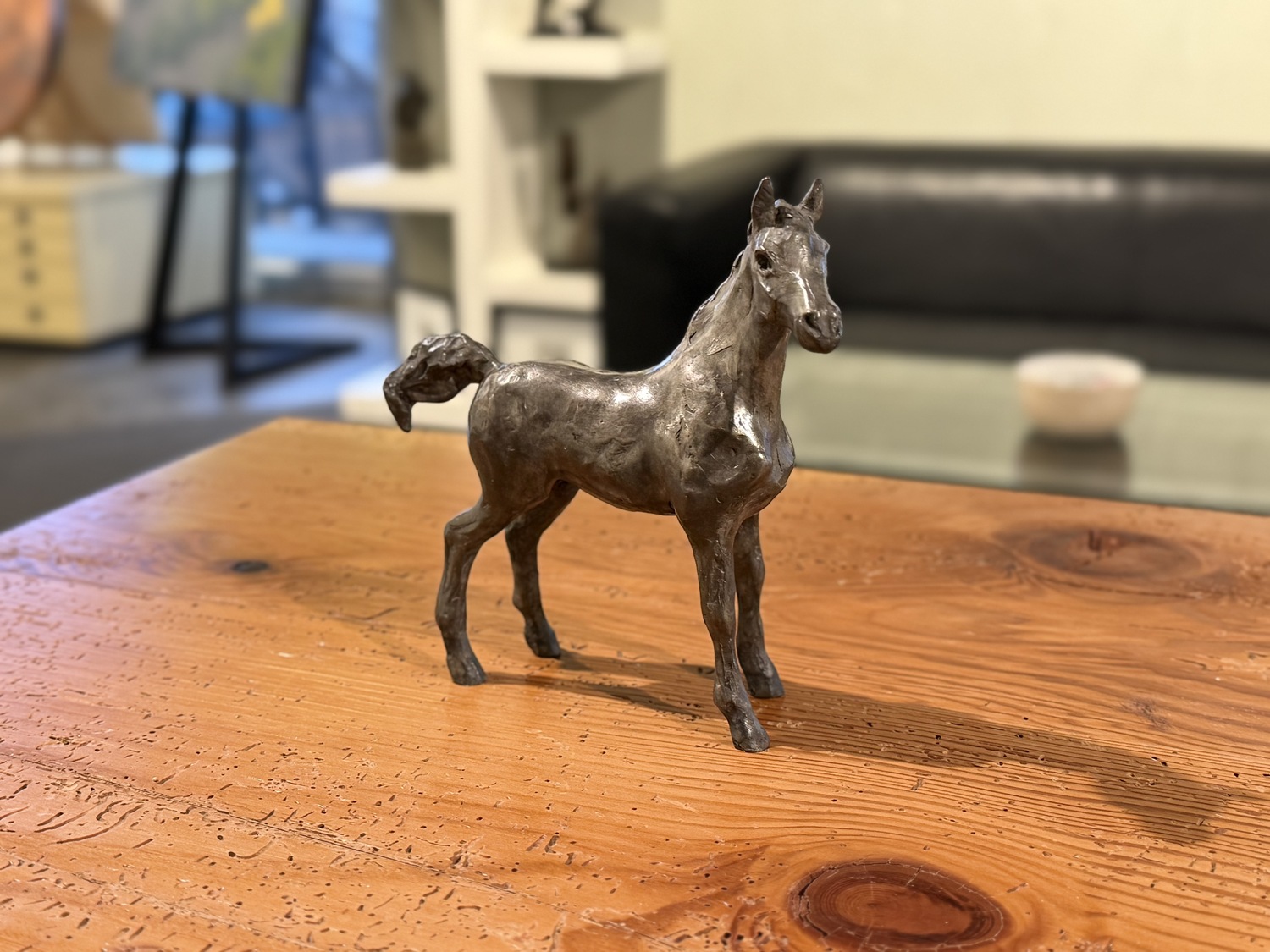 Tomorrow’s Promise: Foal 7/20