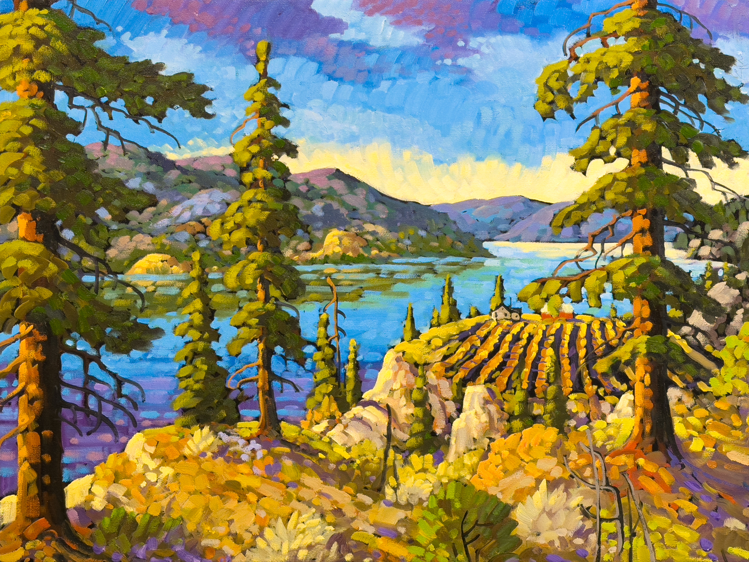 Okanagan, Skaha Vines