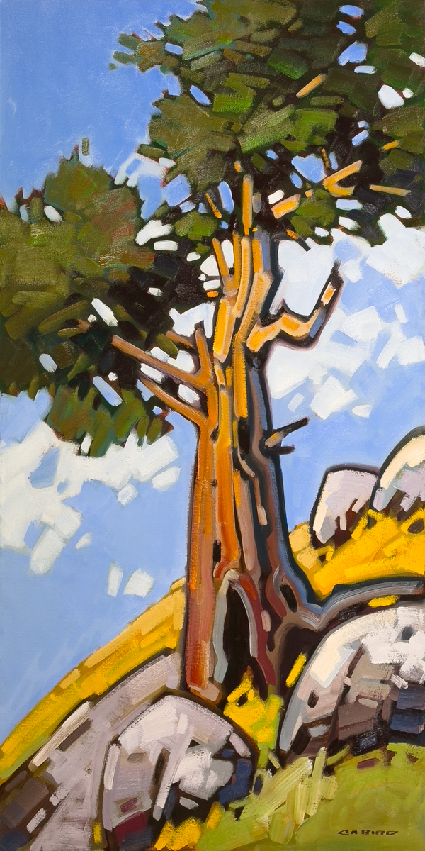 Elder Statesman—Fintry