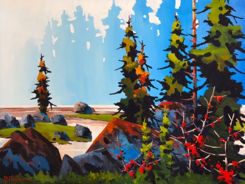 Hiking the West Coast Trail