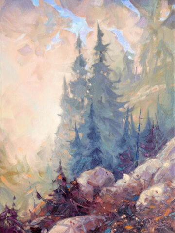 Shadows in the Fog
