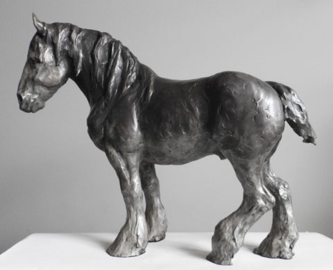 Gentle Giant: Clydesdale 2/7