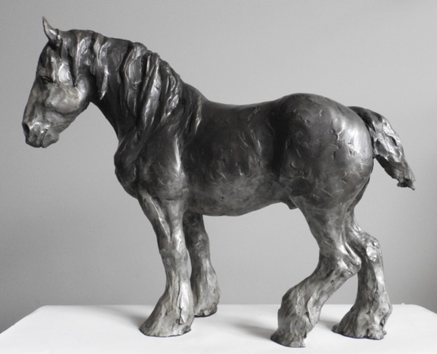 Gentle Giant: Clydesdale 2/7