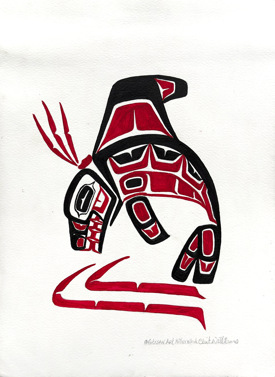 Killerwhale VI