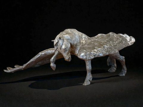 Pegasus Unfolding 2/20