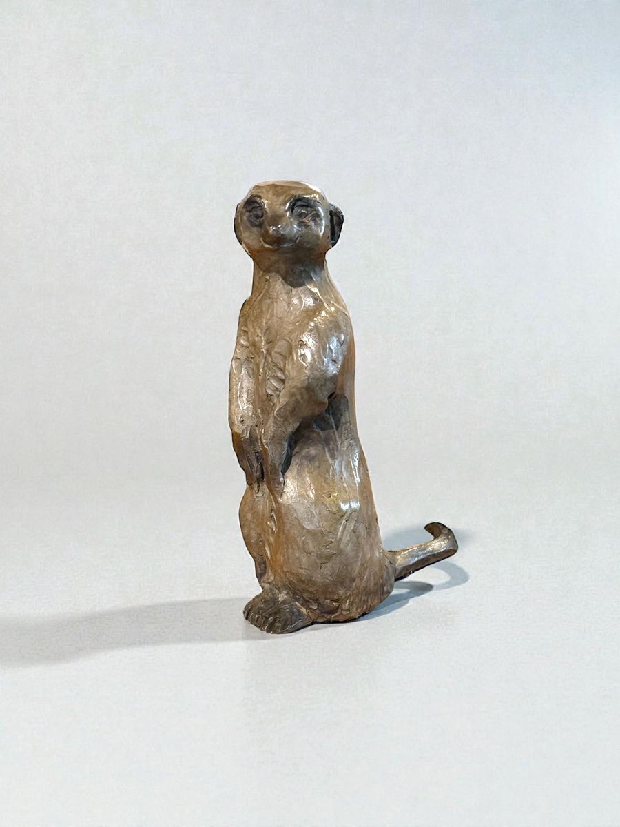 The Lookout Scout: Meerkat 1/15