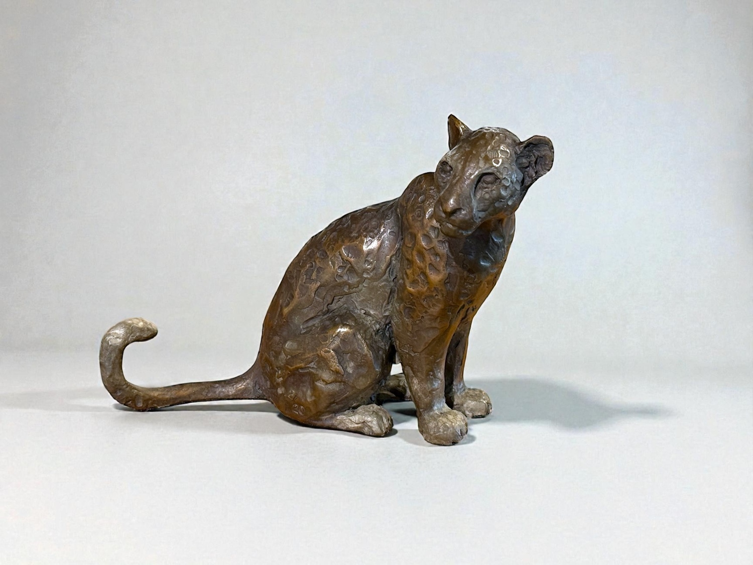 Seated Grace: Leopard 2/20