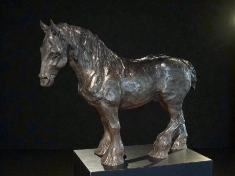 Gentle Giant: Clydesdale 2/7