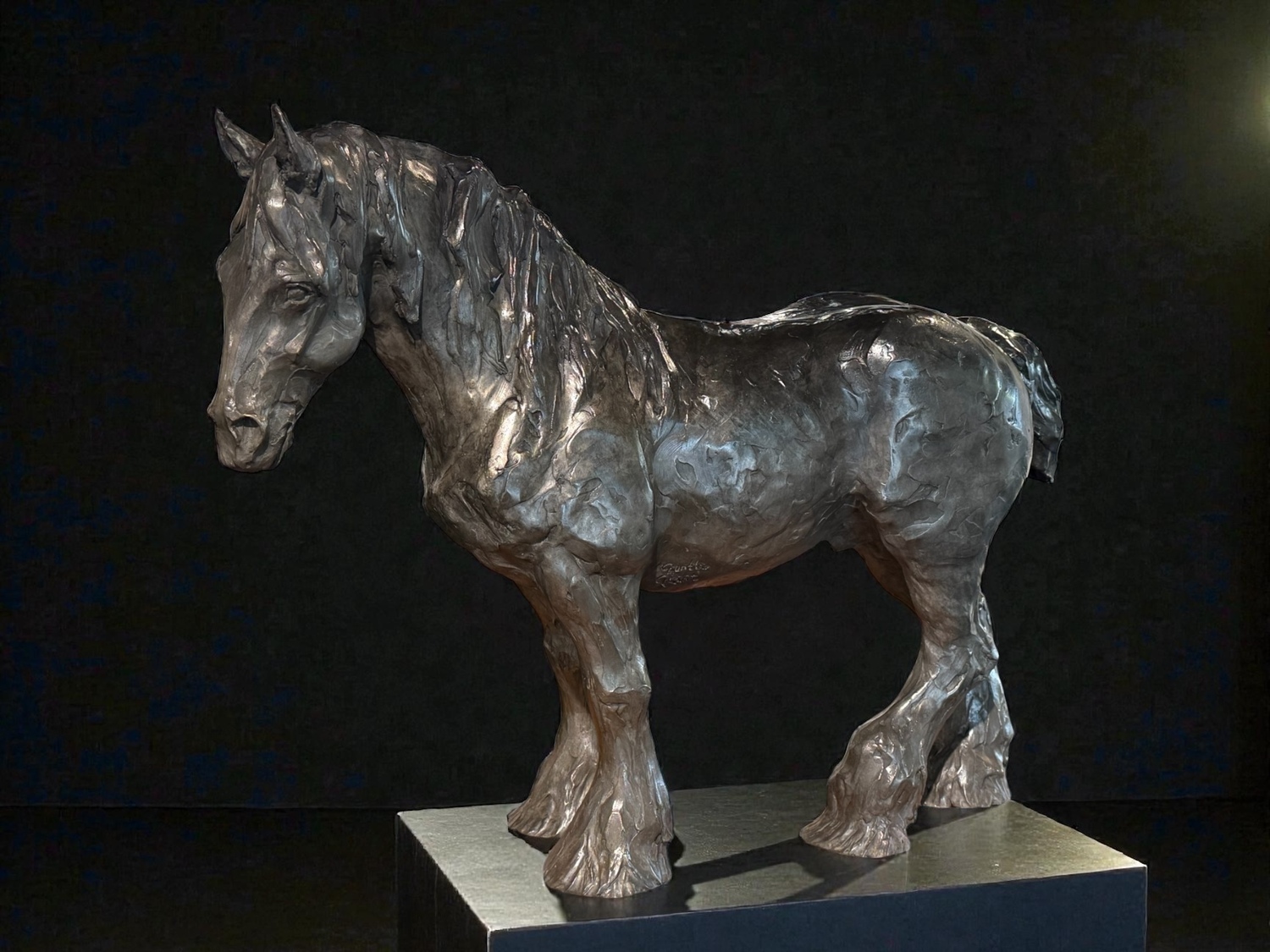 Gentle Giant: Clydesdale 2/7