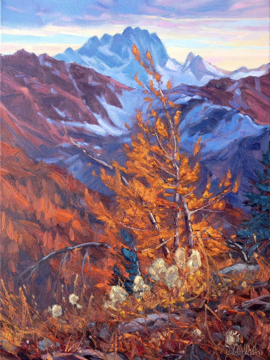 Autumn at Elevation