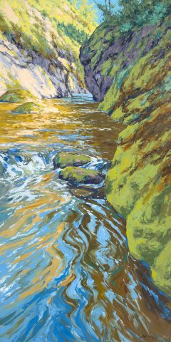 Shorts Creek Canyon (Above Fintry Falls)
