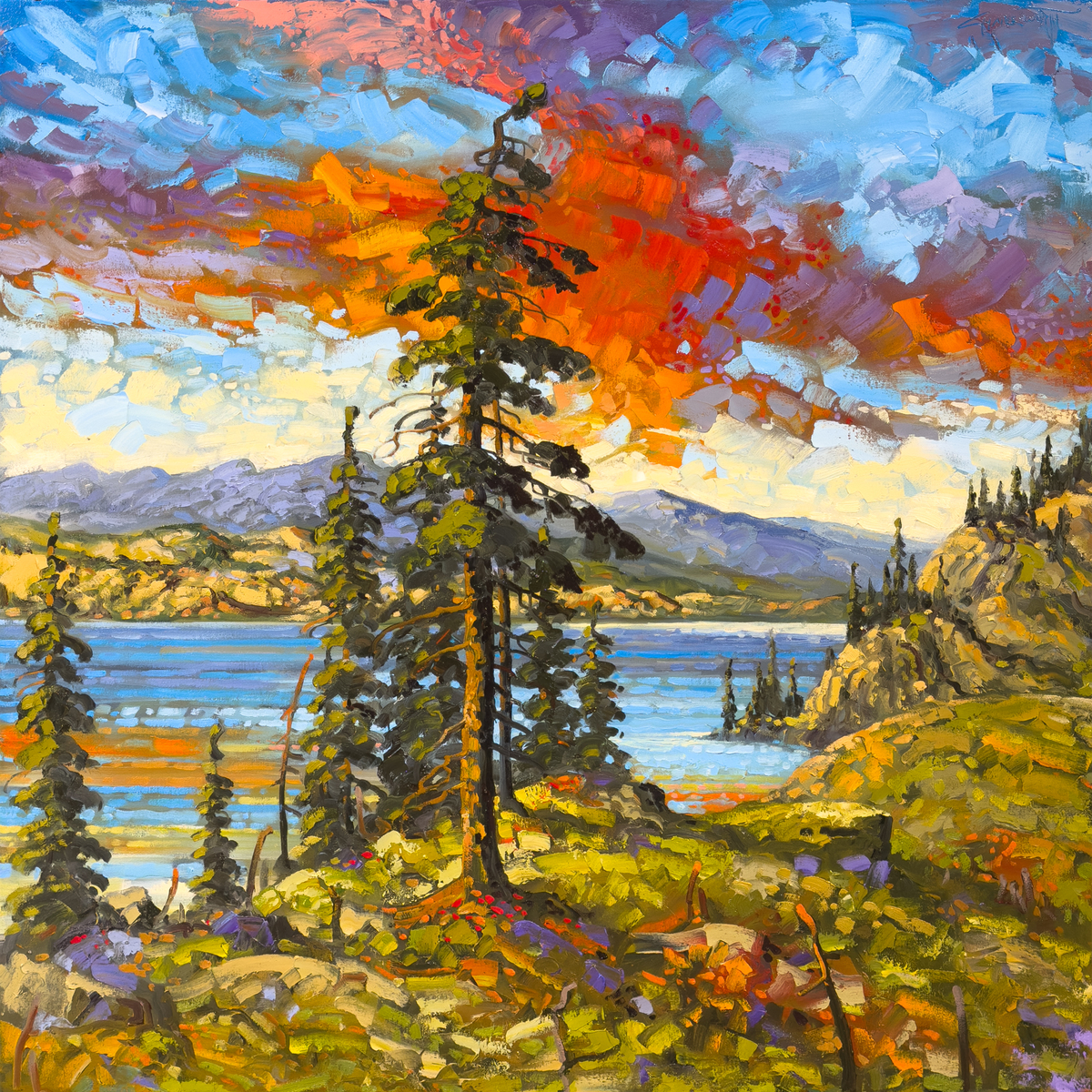 Rod Charlesworth