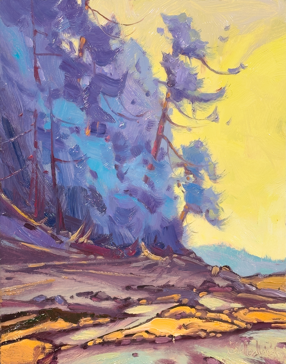 Sunny Beach—Gabriola Island, BC