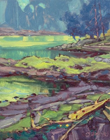 Costal Lagoon—Nanaimo, BC