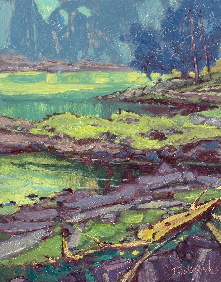 Costal Lagoon—Nanaimo, BC
