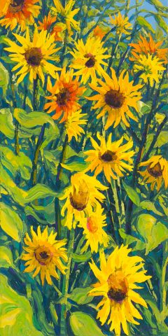 Sunflower Cascade