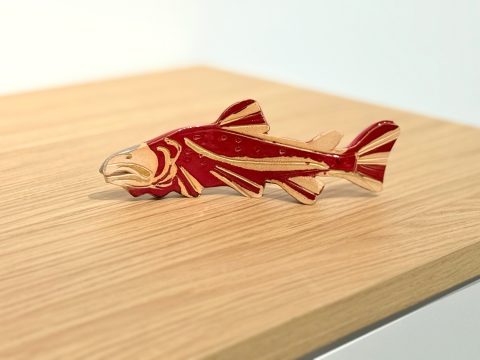 Salmon Spawn