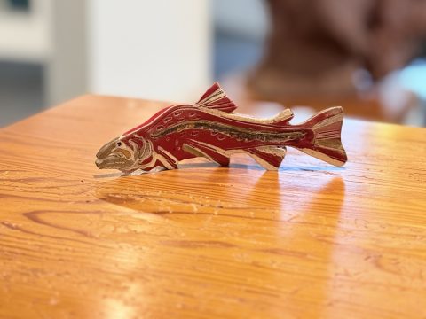 Salmon Spawn II