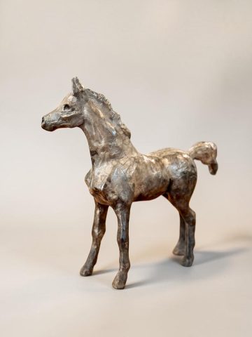 Tomorrow’s Promise: Foal 11/20 (grey)